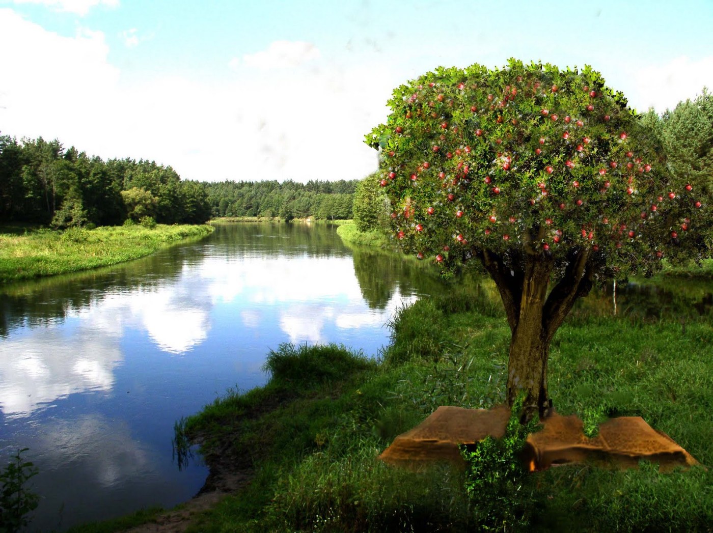"Tree Planted By Water"