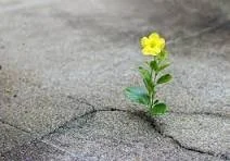 "Answered Prayer In 2024"