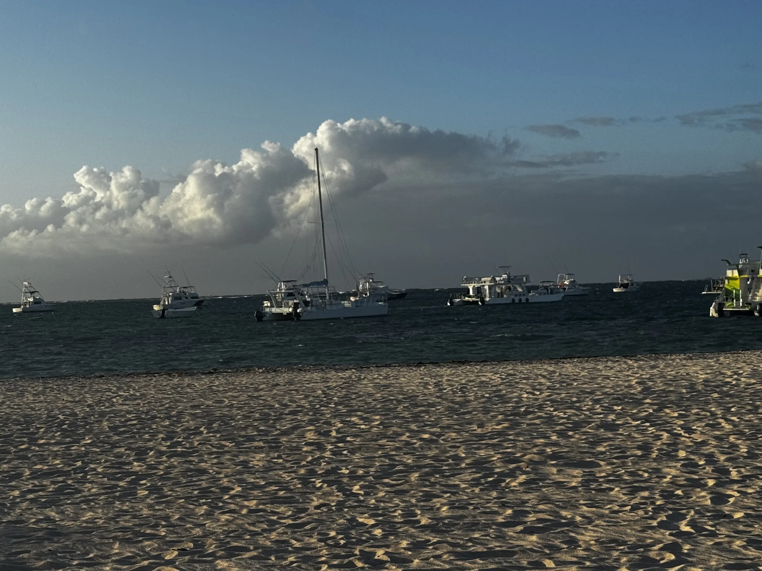 "Your Shores Of Grace"