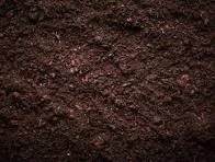 "Your Soil does Not Define You!"
