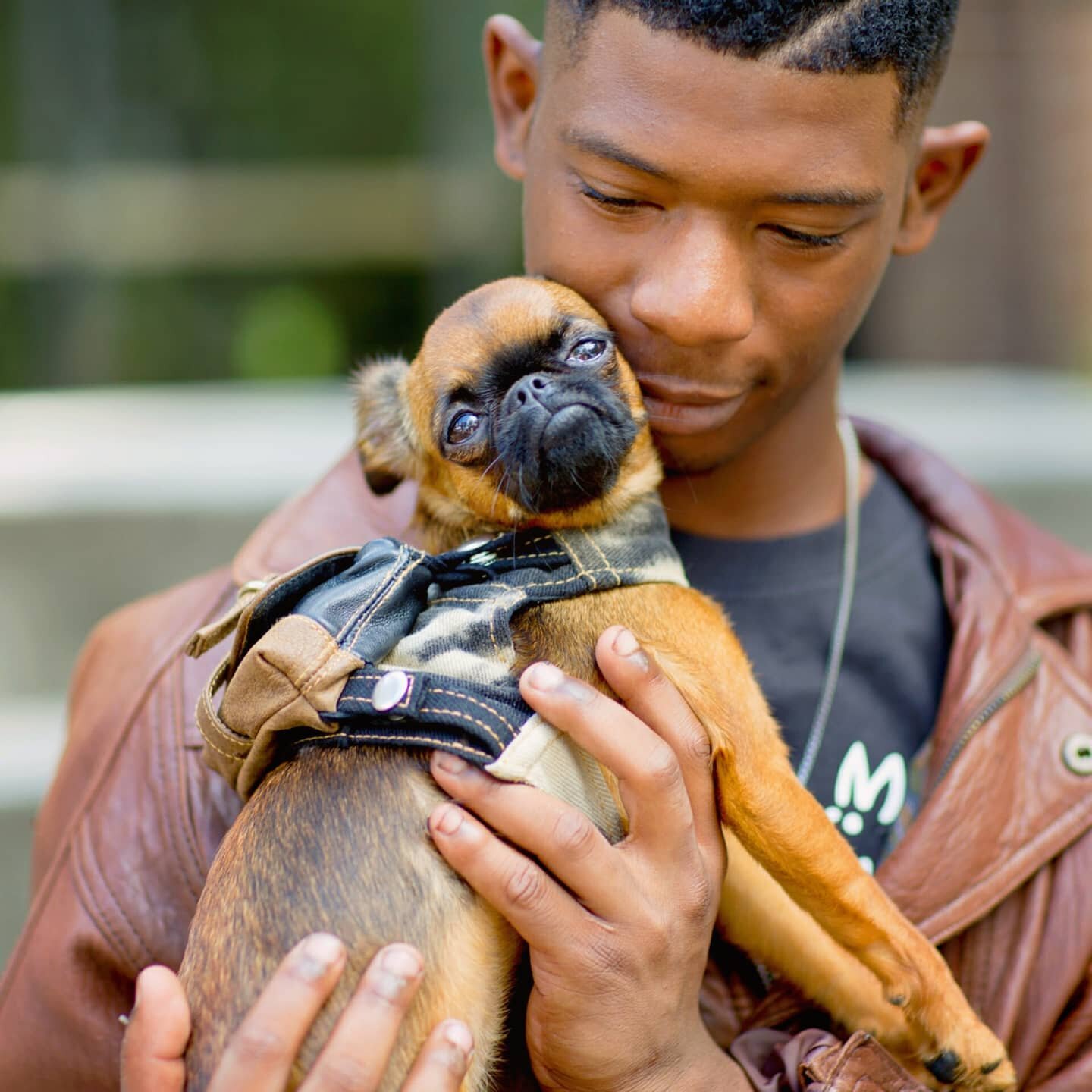 Spread some #love. ❤❤❤❤
#nationallovepeopleday 
__________
📷: @hot_photo_dog 
__________
#mistermigs #doggearforgood