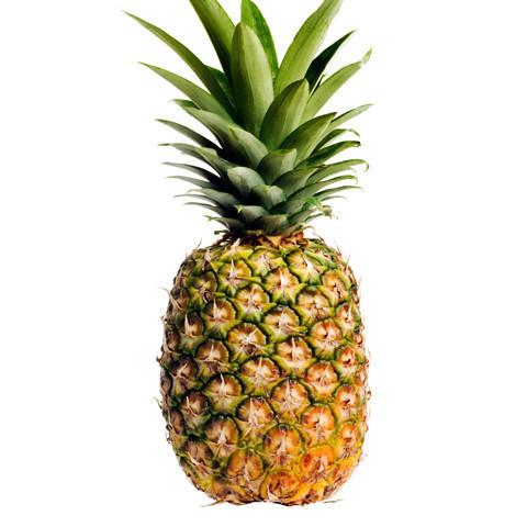 pina.jpeg