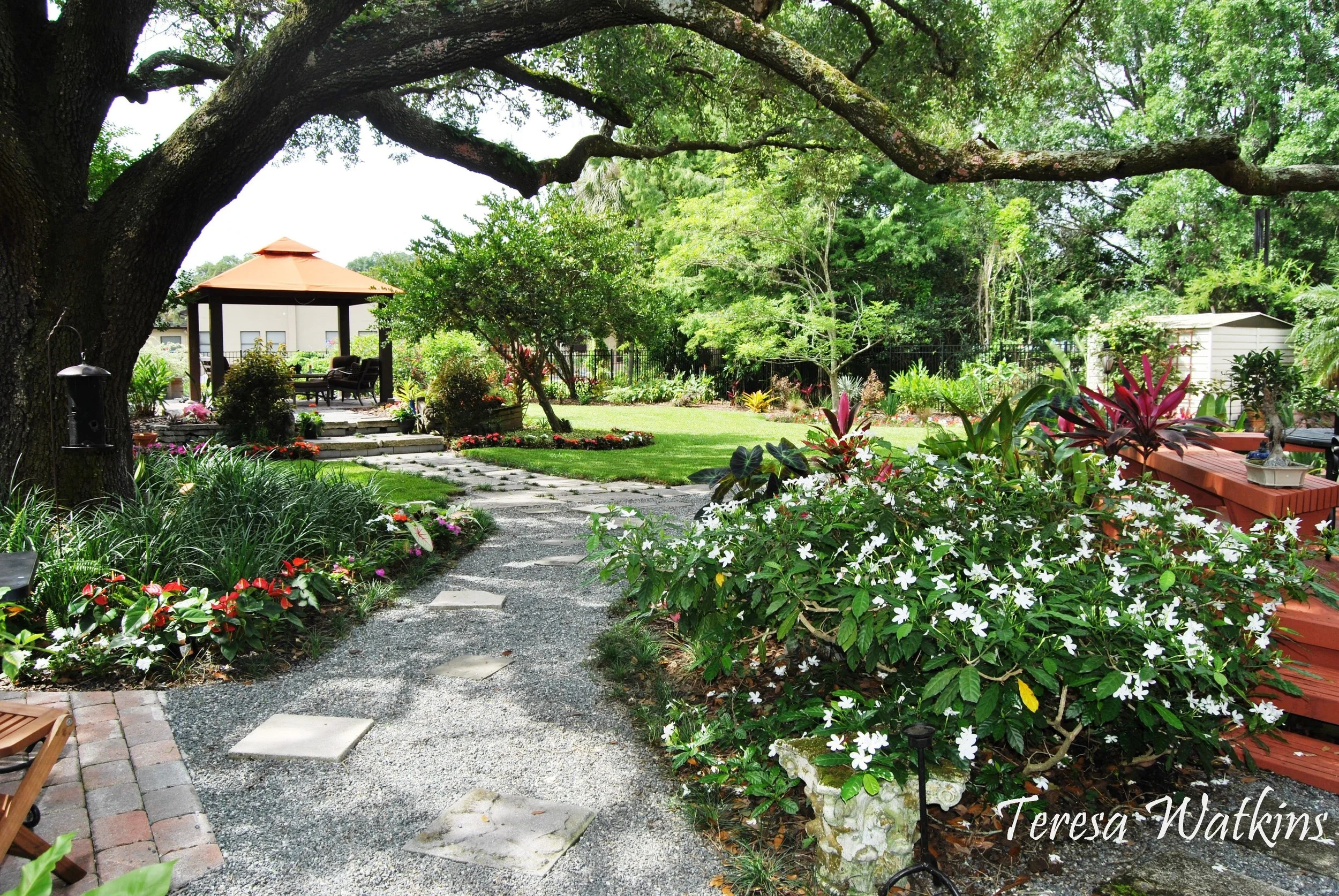 Backyard view of walkway (a).JPG