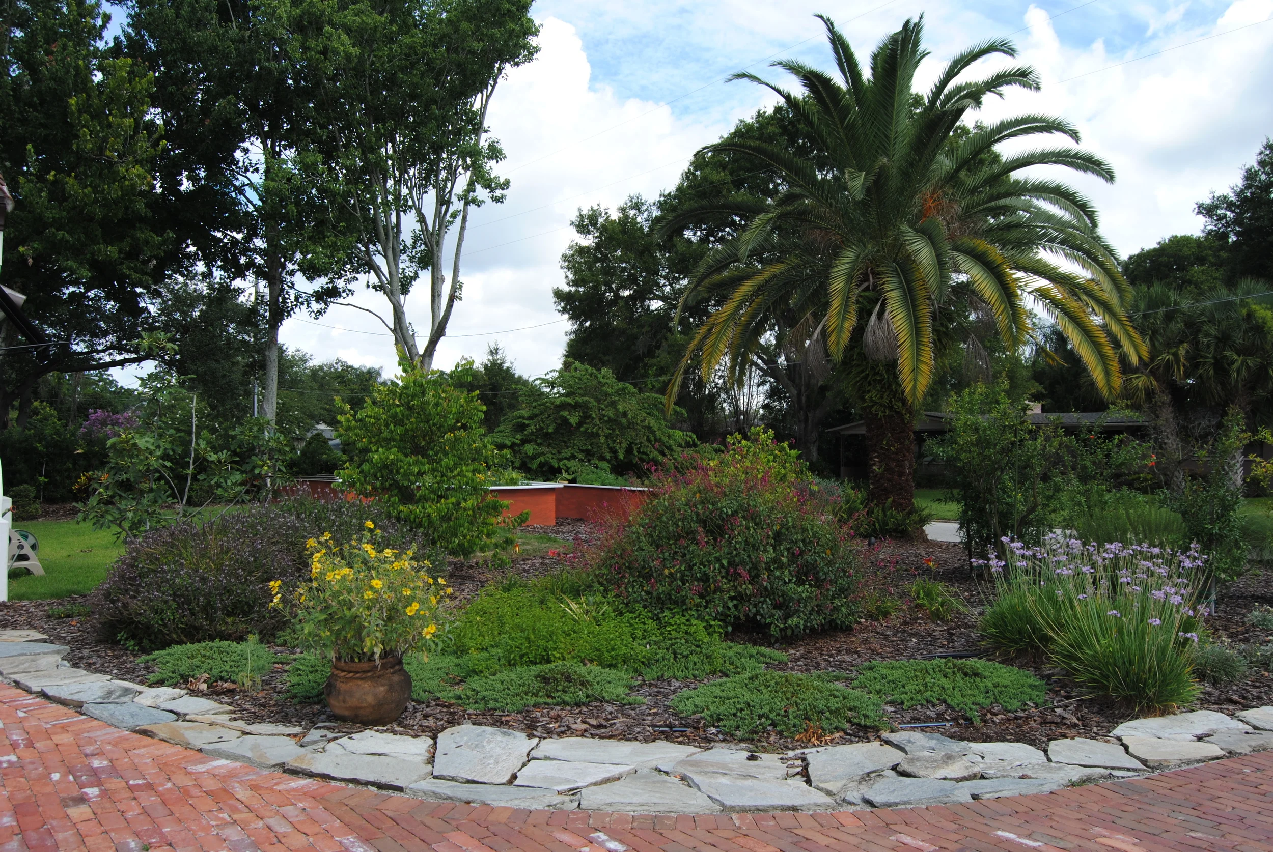 Cosecha Por Del Lago 008.JPG