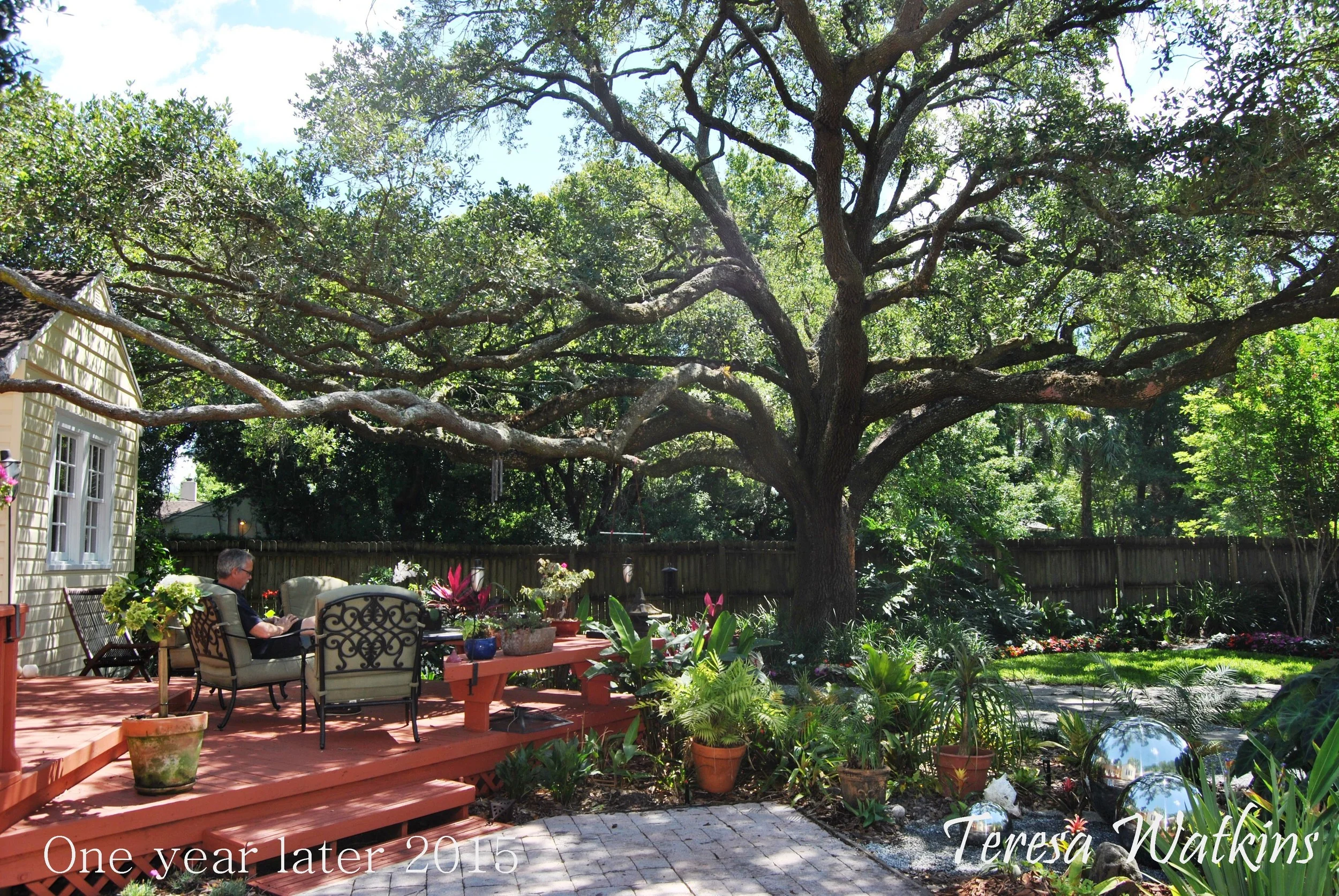 Tilstra Front and Back yard 012.JPG