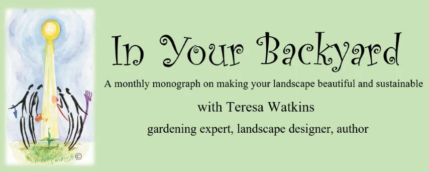 IYB newsletter header new subscribers (Small).jpg