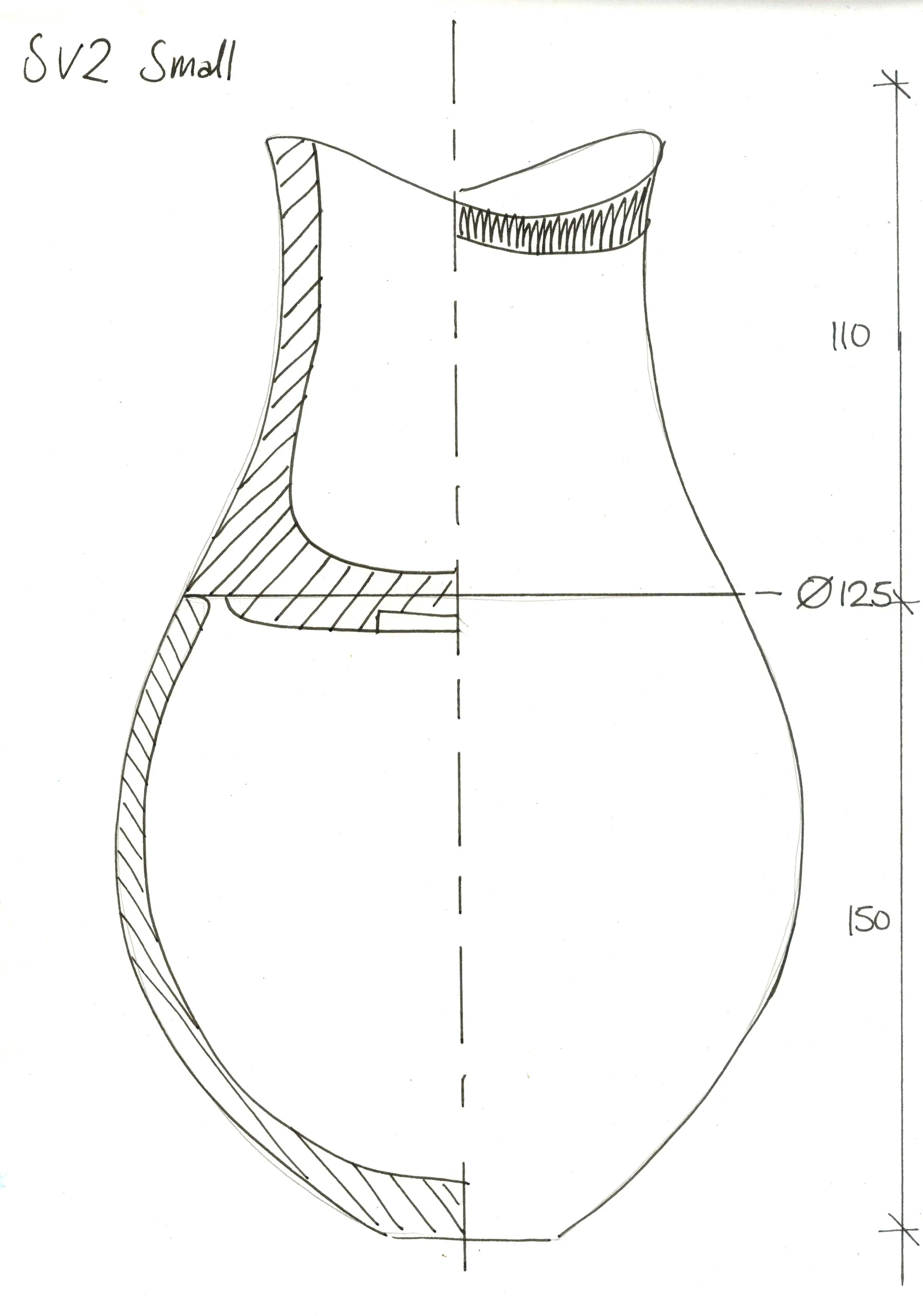 SV2 Small.jpg