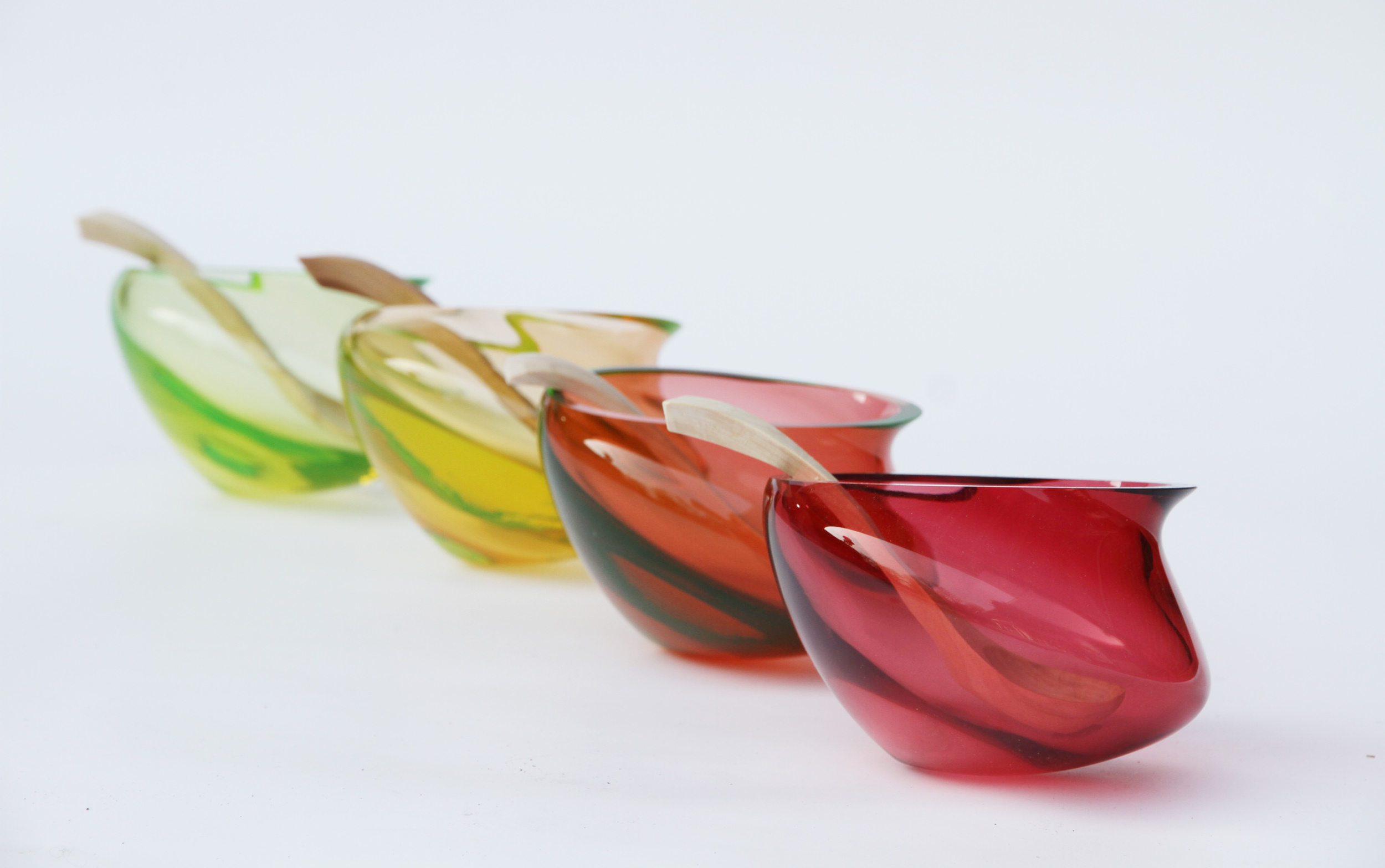 BirdBowl Row.jpg