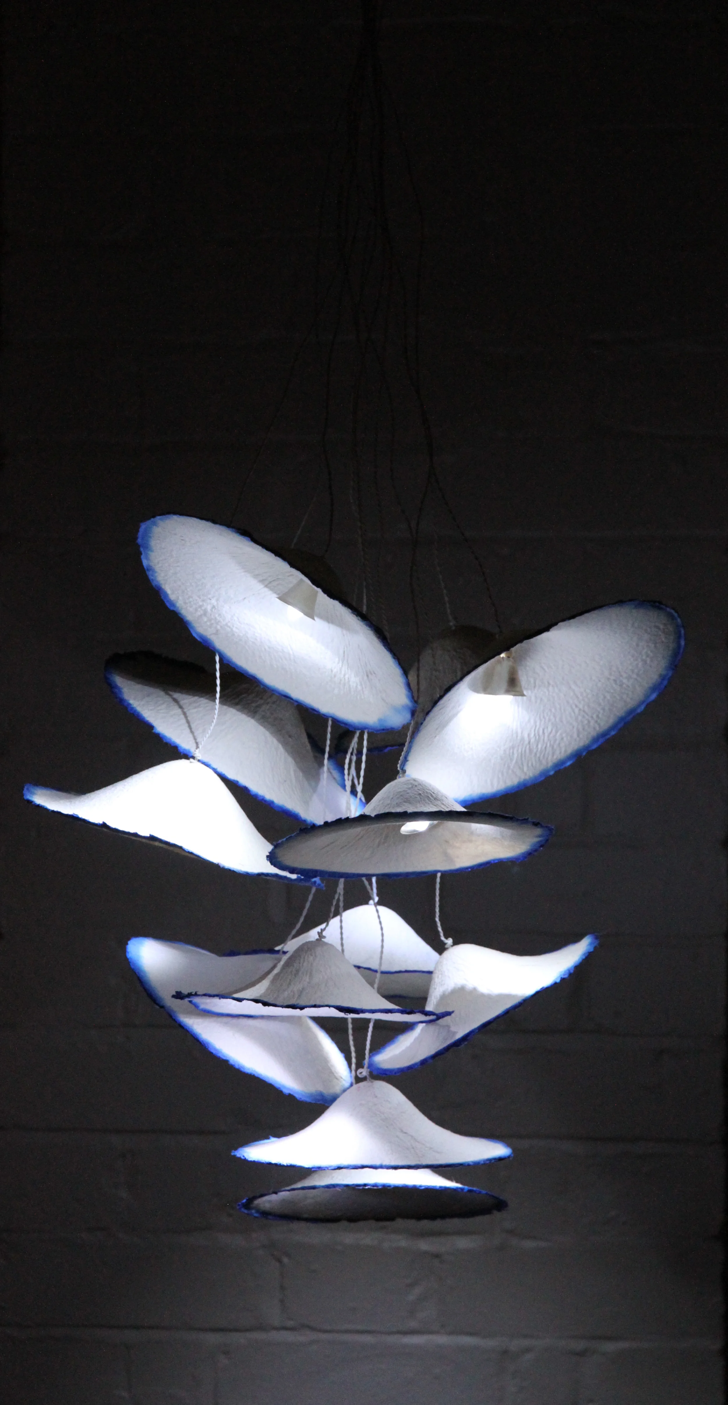 Topi Cluster lit.jpg