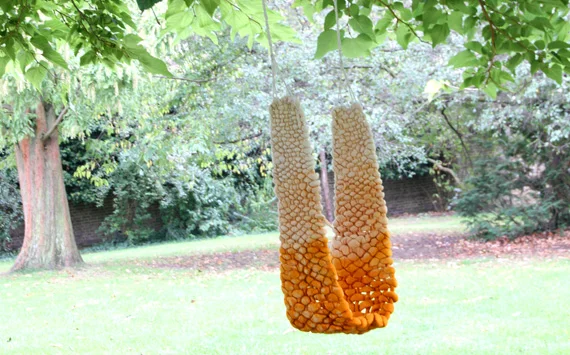 WOOLWEAVE_COVER.jpg
