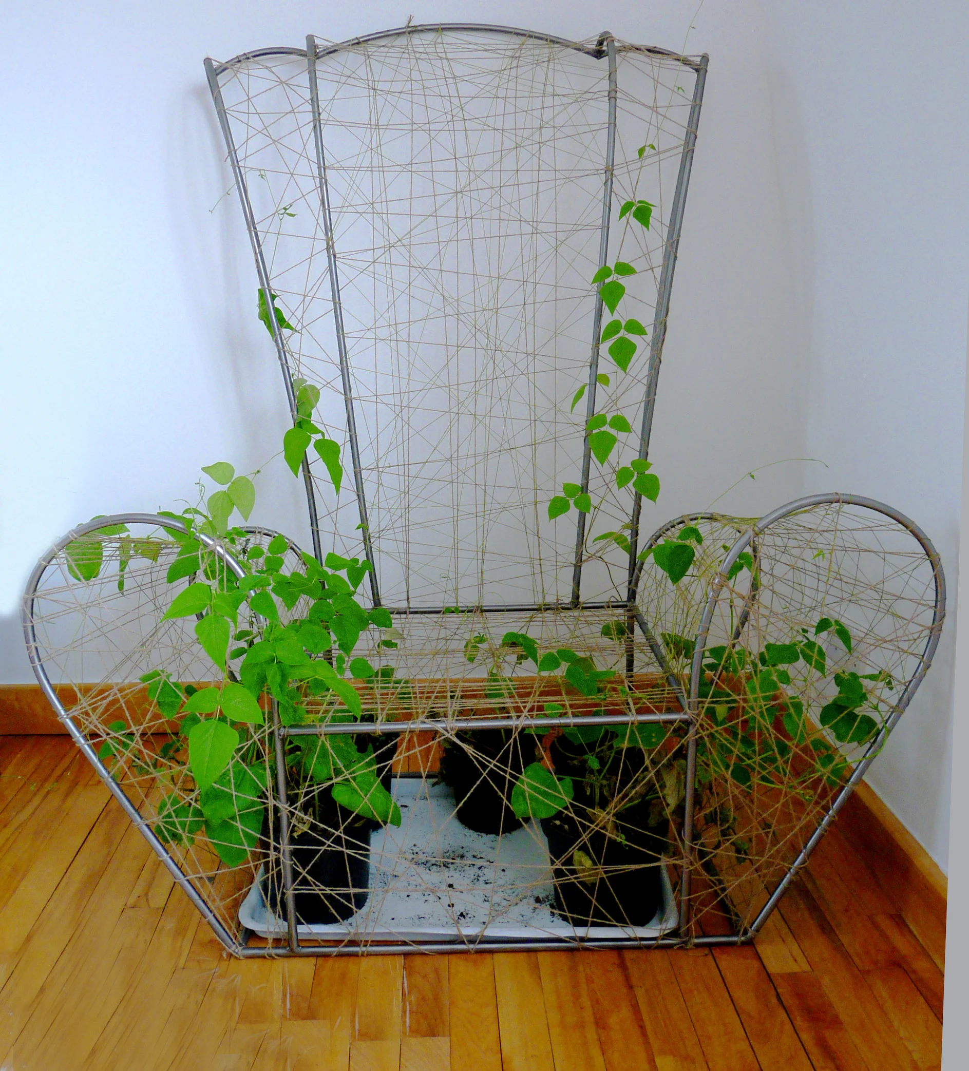 Living Indoor Farm  II1.jpg