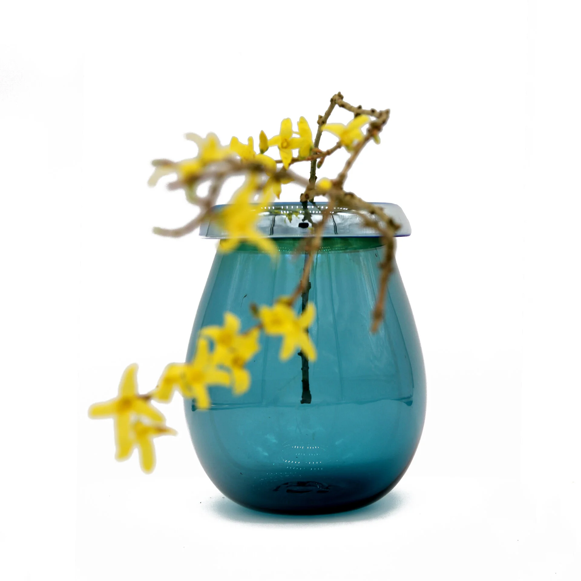 Ida Blue #2 yellow flowers.jpg