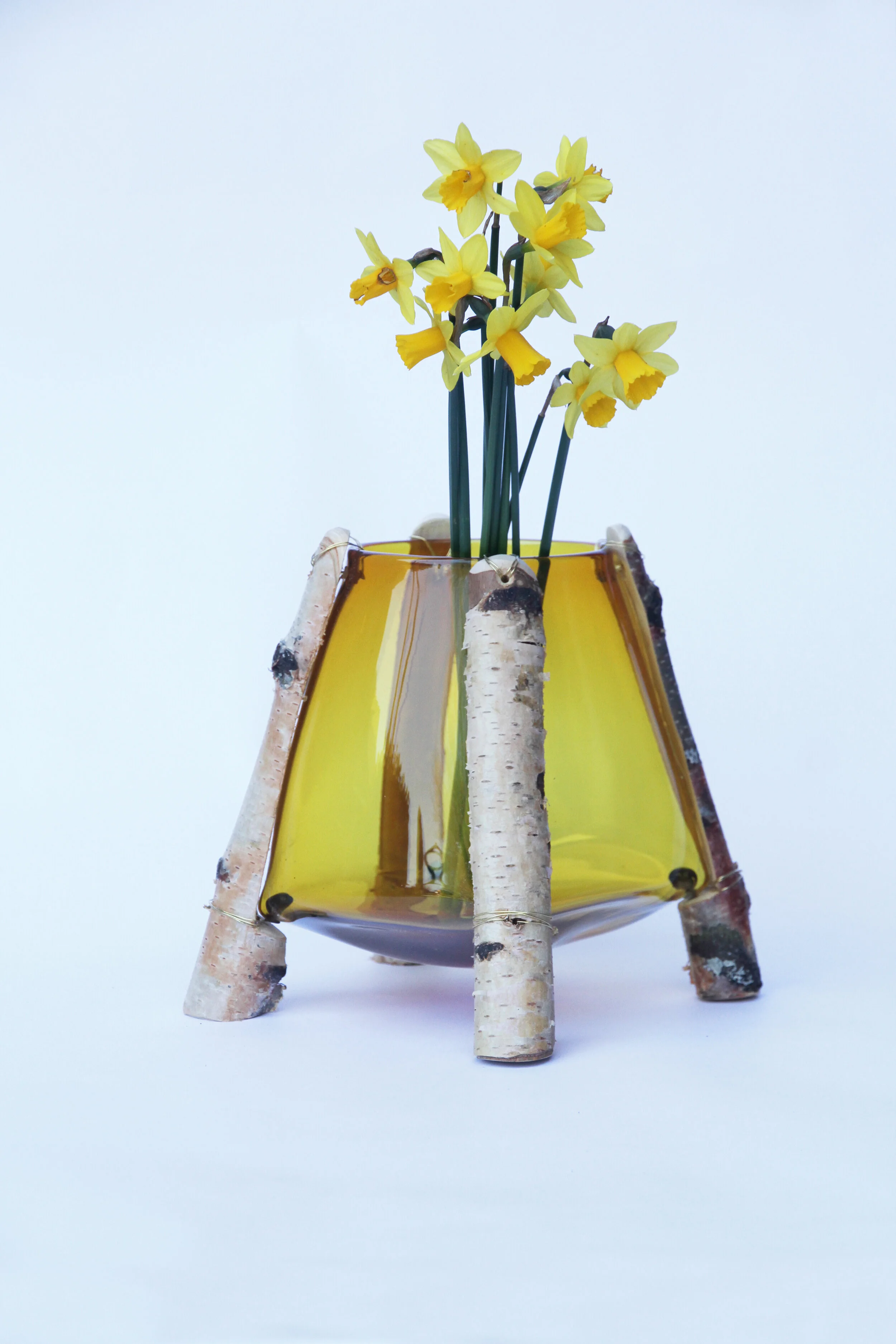 Tapio Amber 1 with flowers.jpg