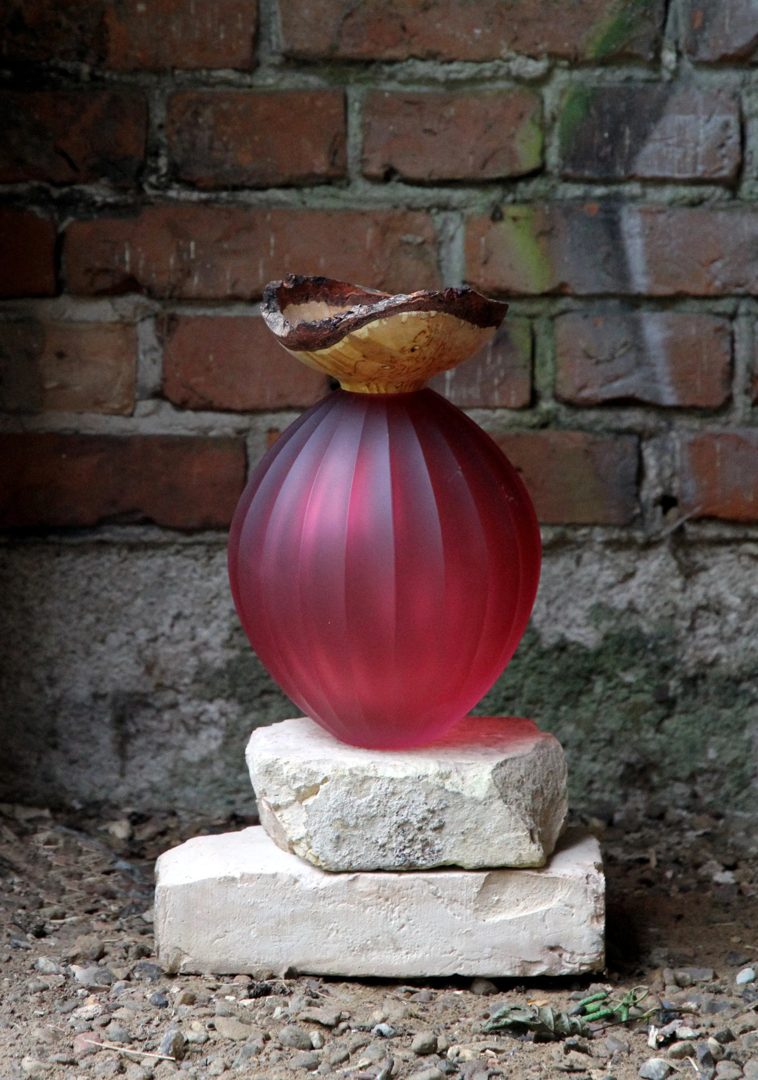 Poppy on brick.jpg