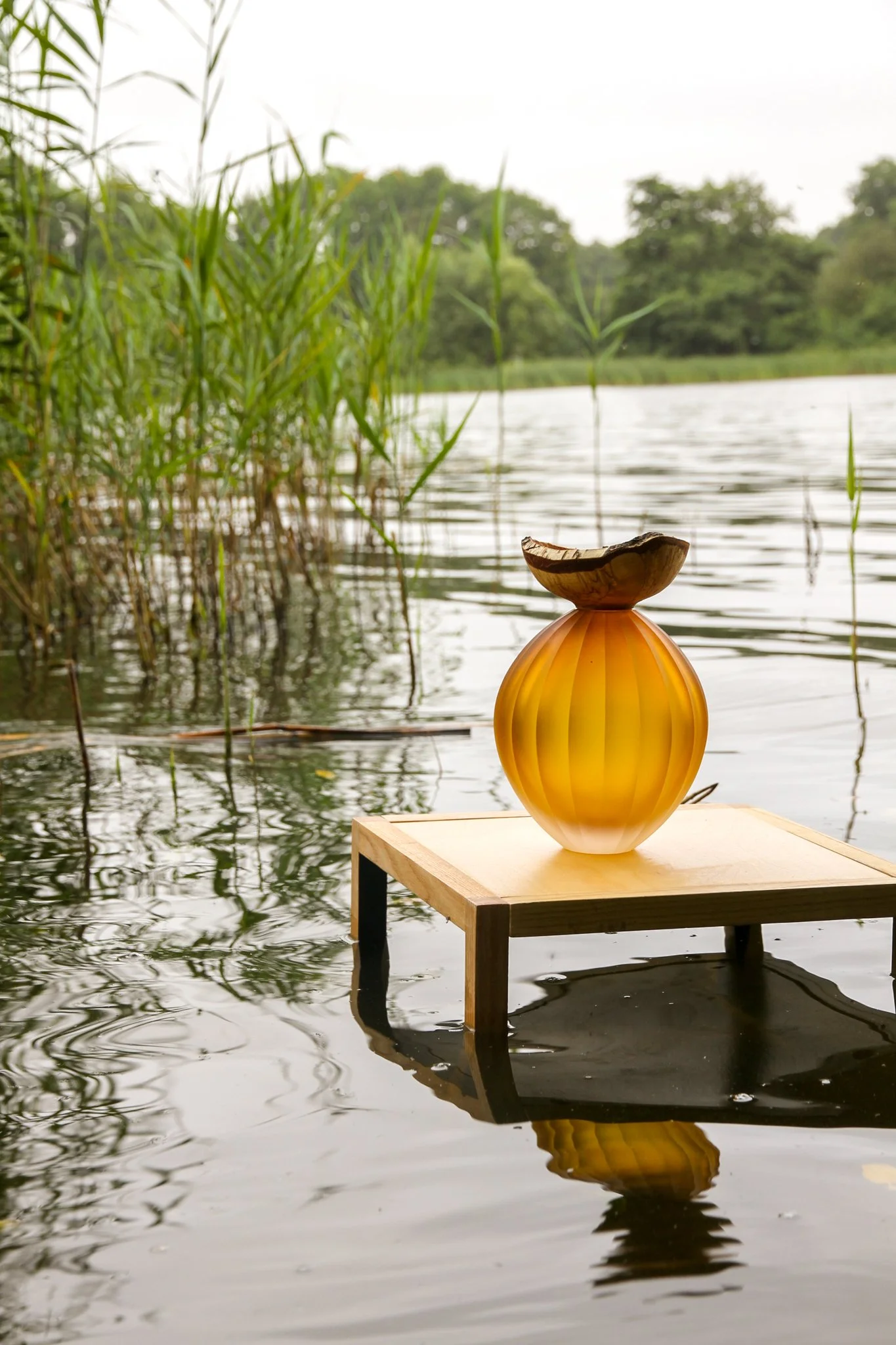 Poppy Amber in the water -07.jpg