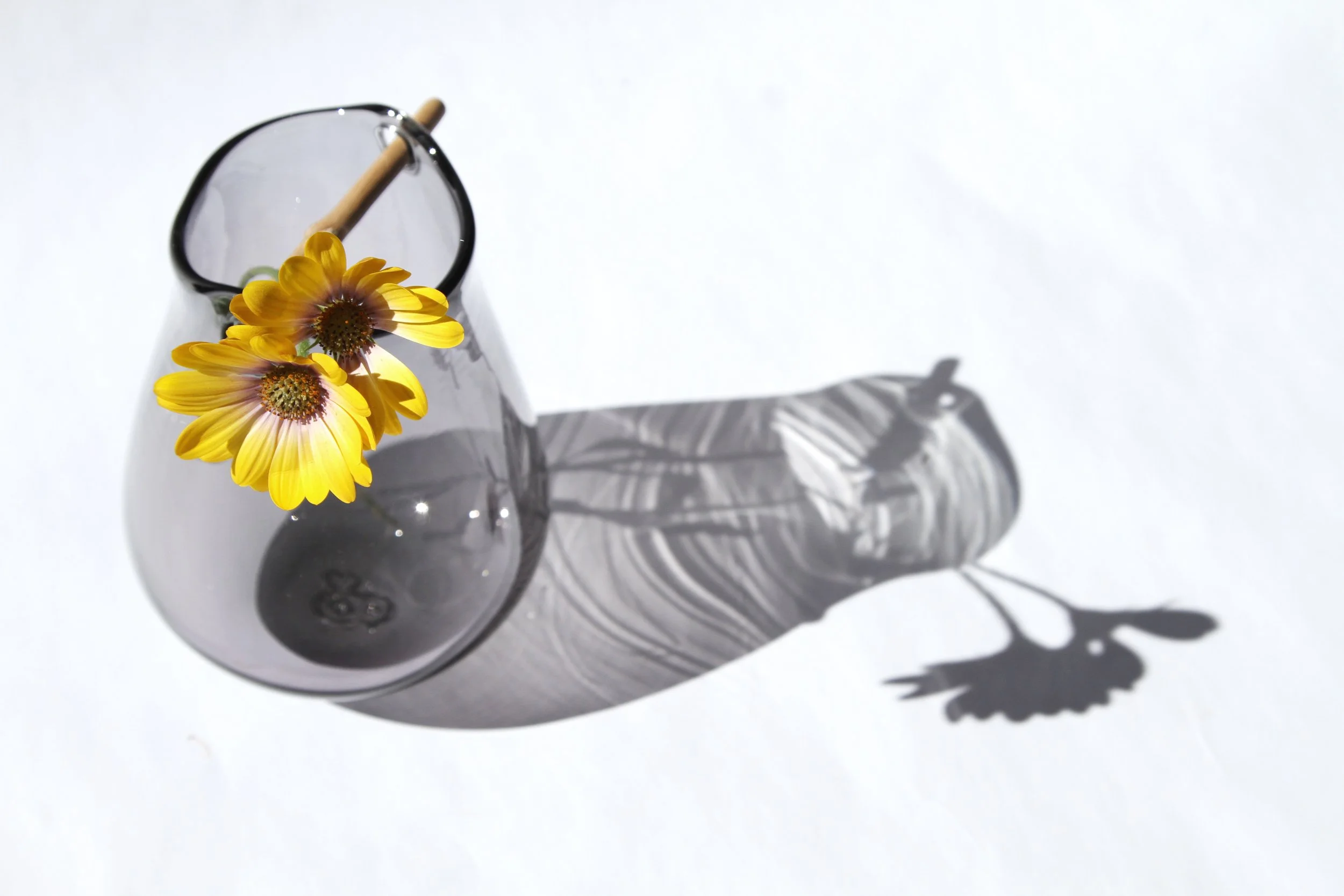 Macro Heiki Grey with yellow flower from above.jpg