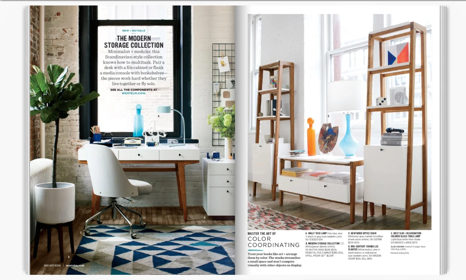 A collage, a painting and a drawing used in a West Elm catalogue. 2015