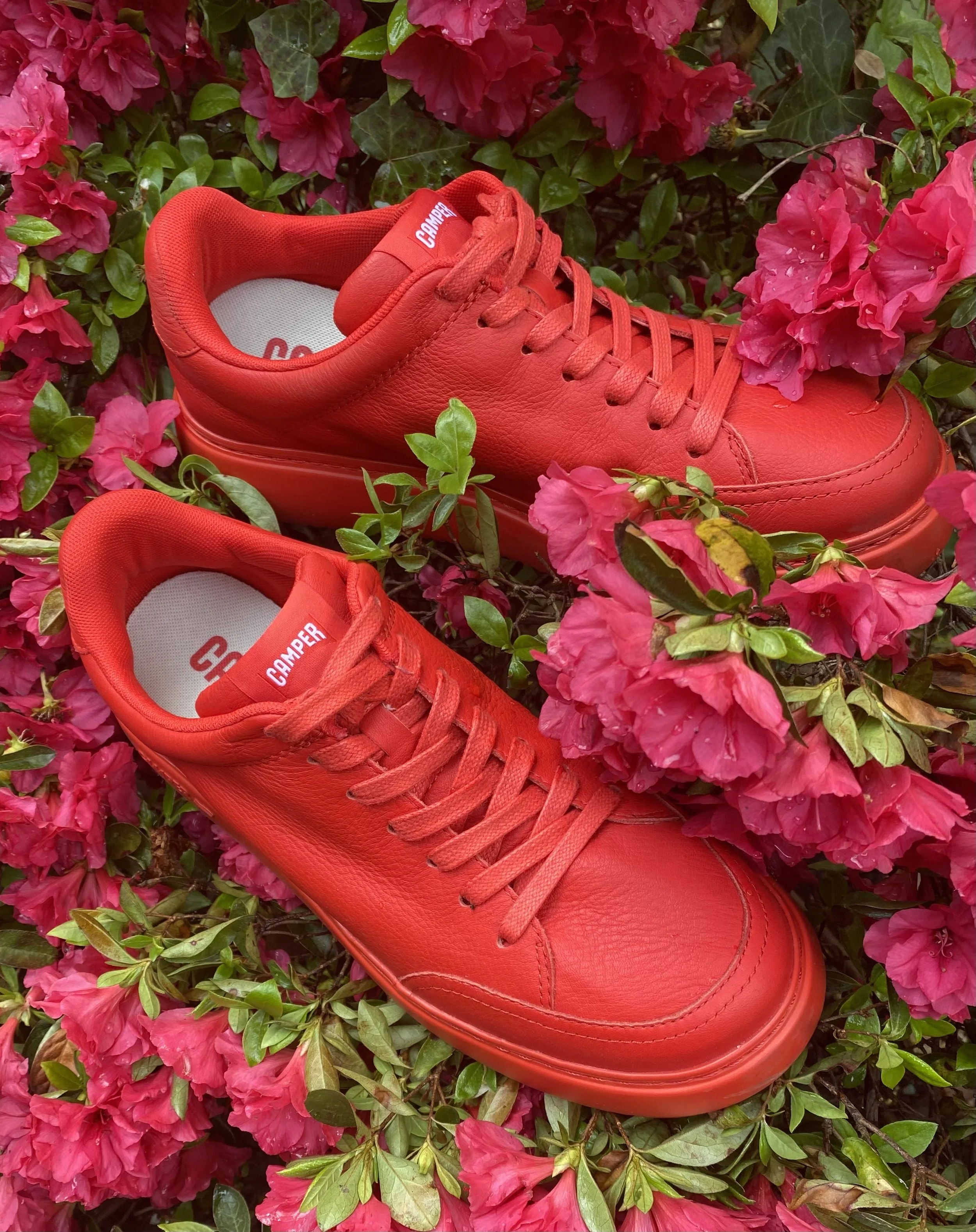 sneaks.jpg