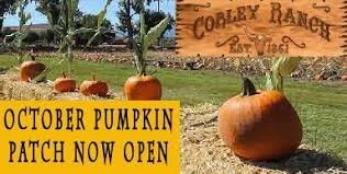 Corley Ranch.jpg