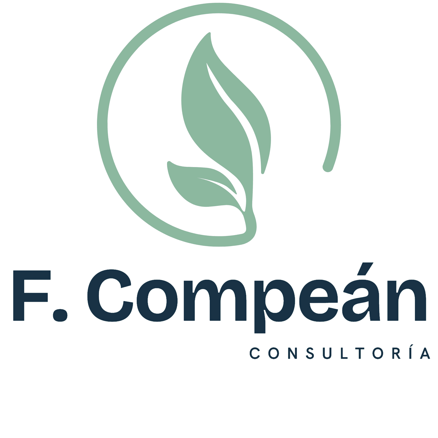 FCompean Consultoría