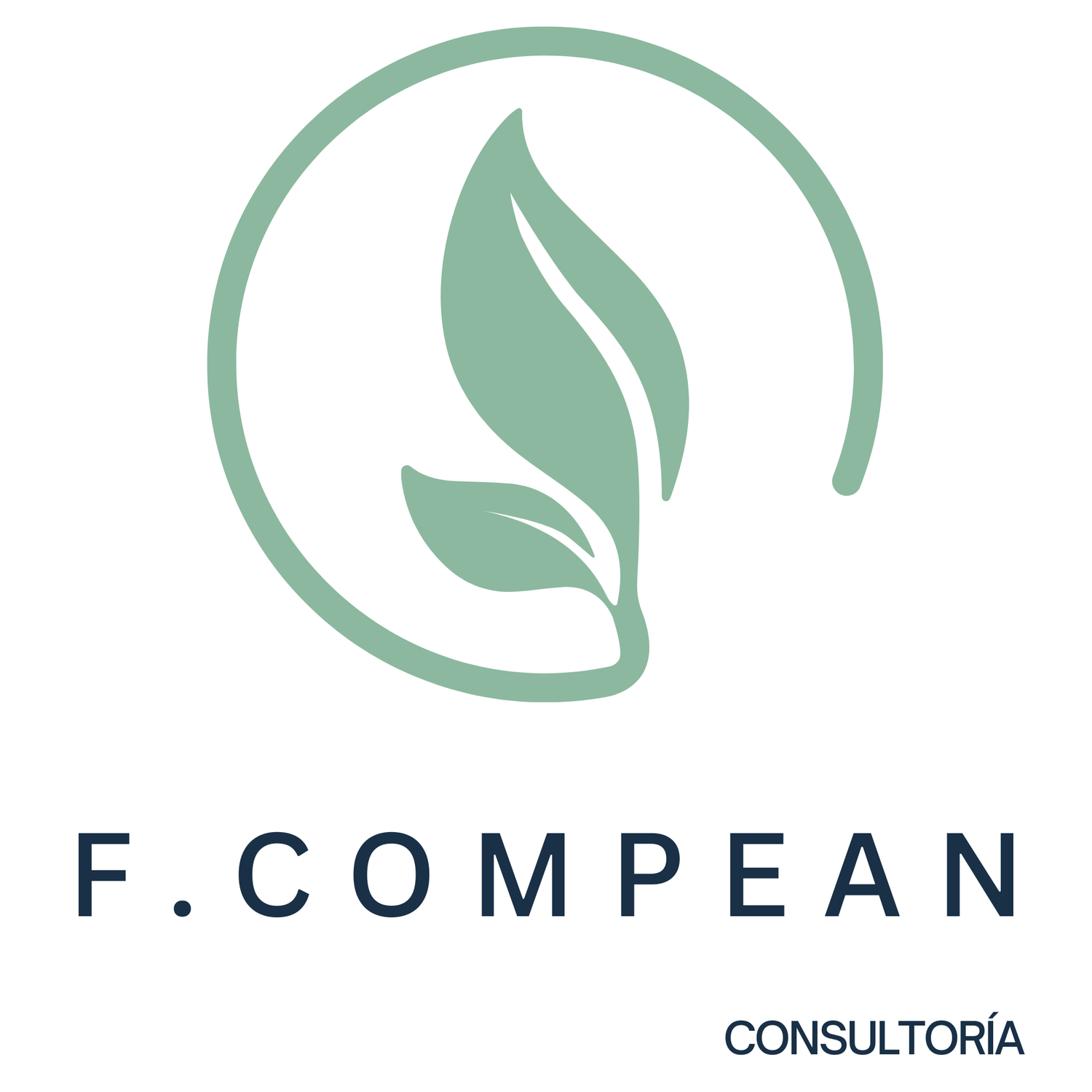 FCompean Consultoría