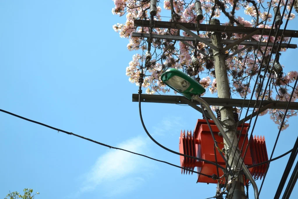 zigzag web main2.jpg