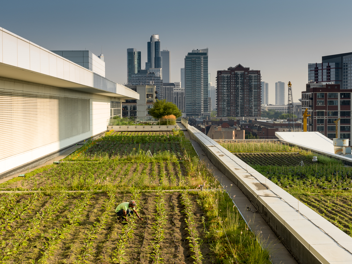 McCormick Place-1.jpg