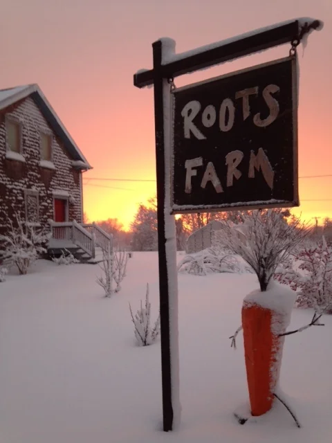 roots sign sunset.JPG