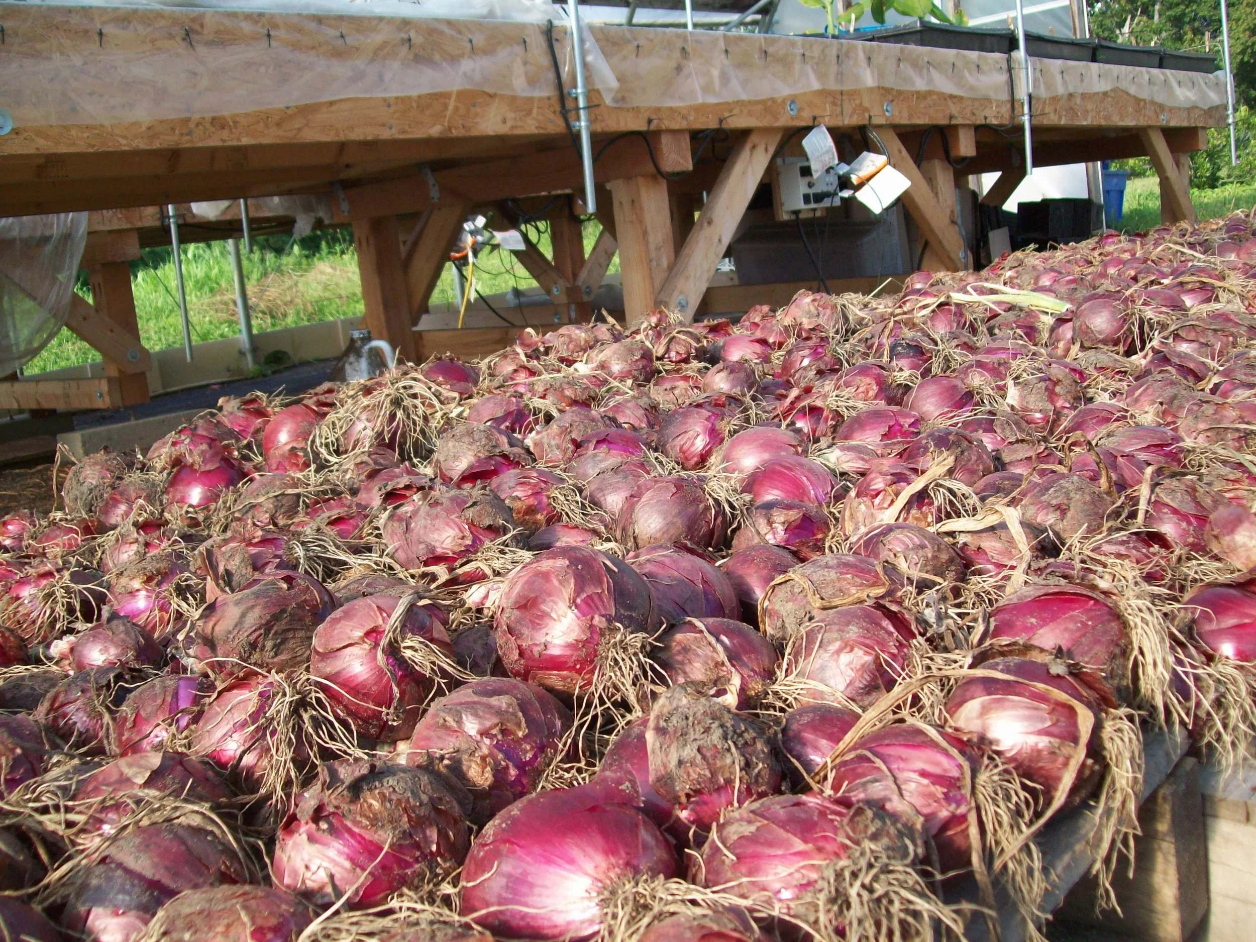 photo: Our Natural Heritage