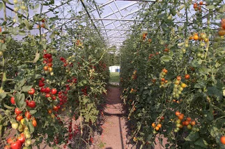 photo: Our Natural Heritage