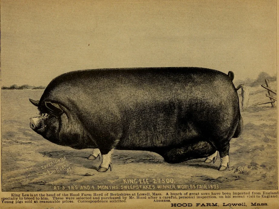 Old Berkshire Small.jpg