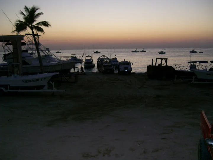 100_0433.JPG