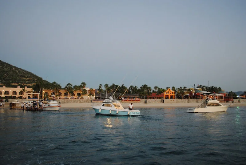DSC_1226.JPG