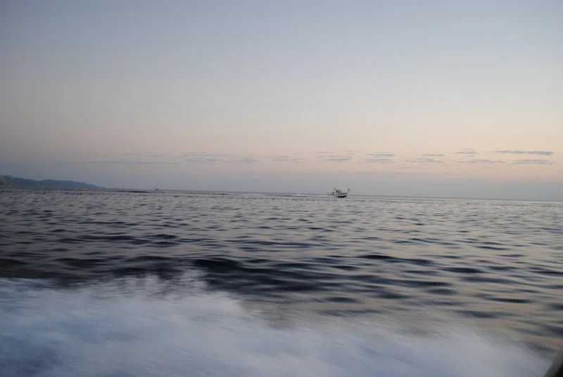 DSC_1232.JPG
