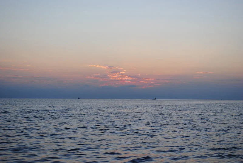 DSC_1235.JPG