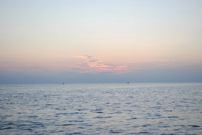 DSC_1236.JPG