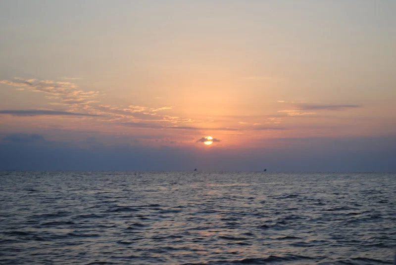 DSC_1244.JPG