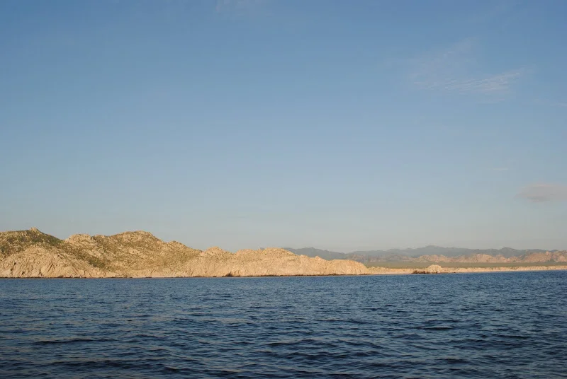 DSC_1246.JPG