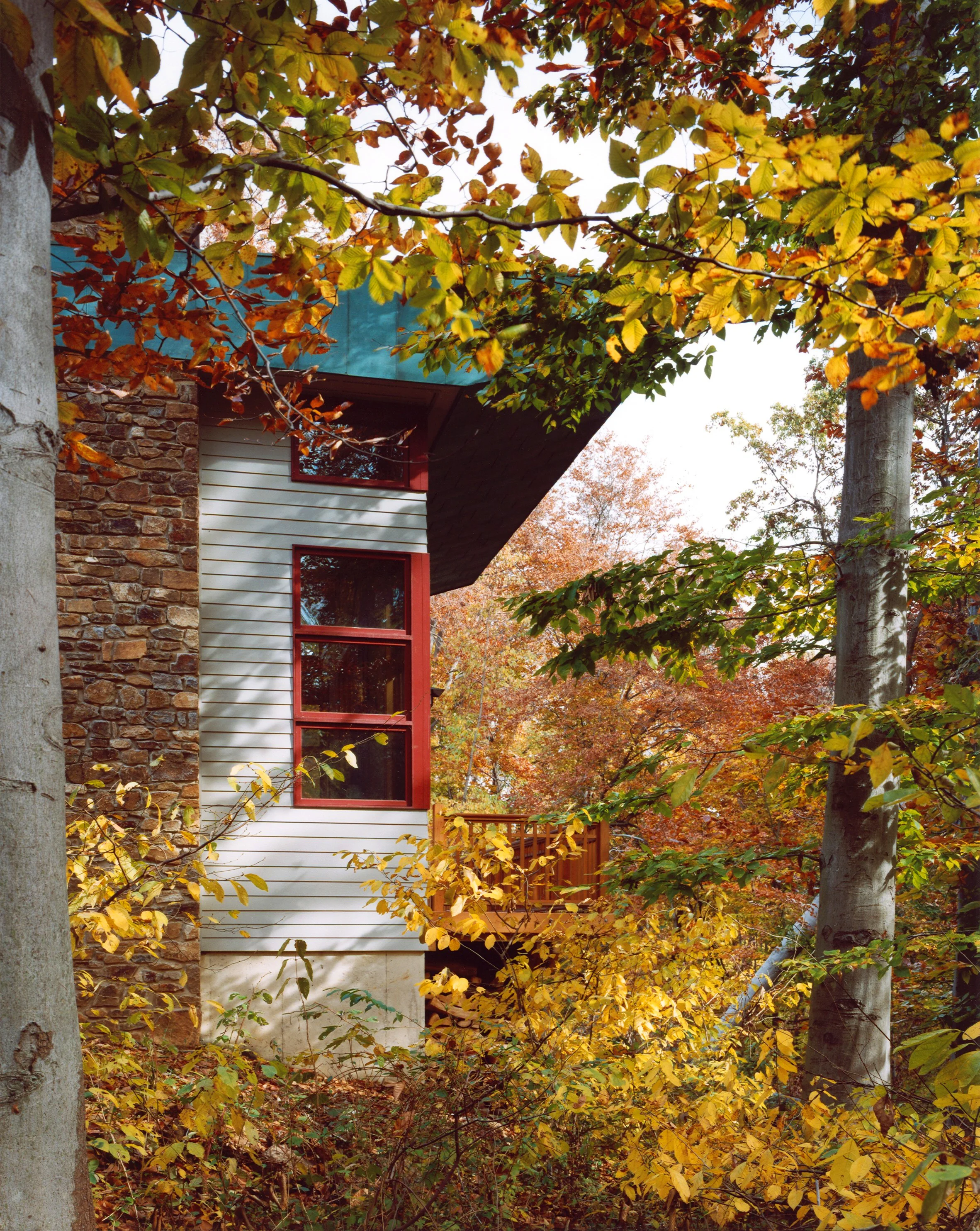 315 Taylor Residence 08.jpg