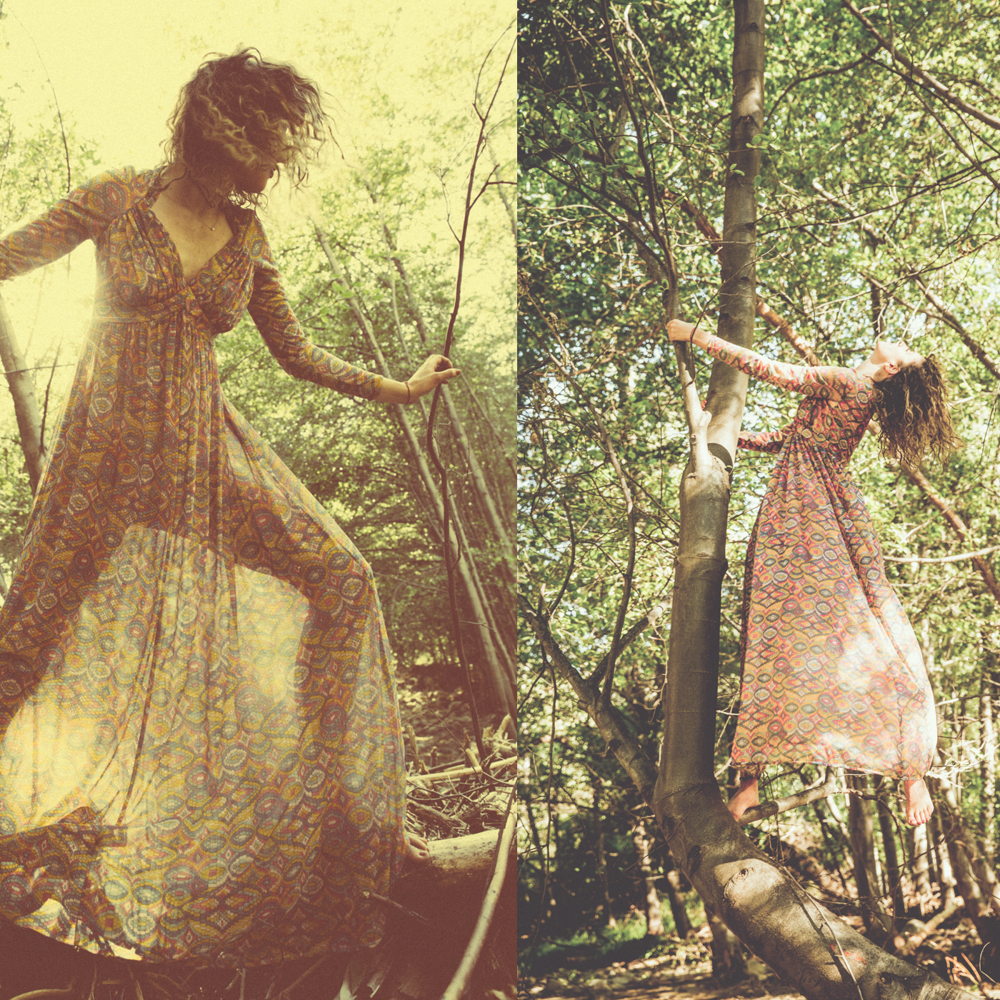 fauna