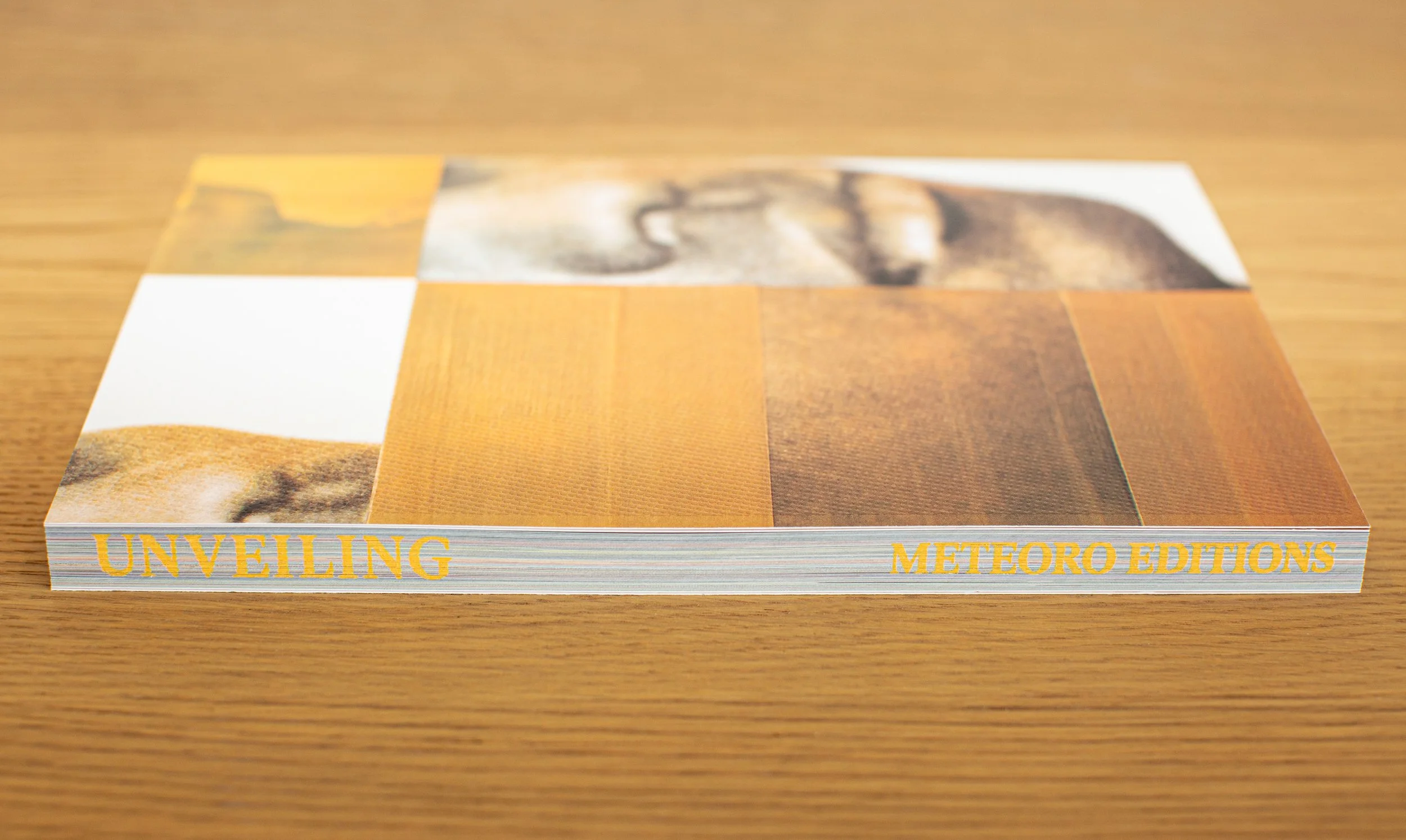 Alanna Fields_Unveiling-Book Edge.jpg