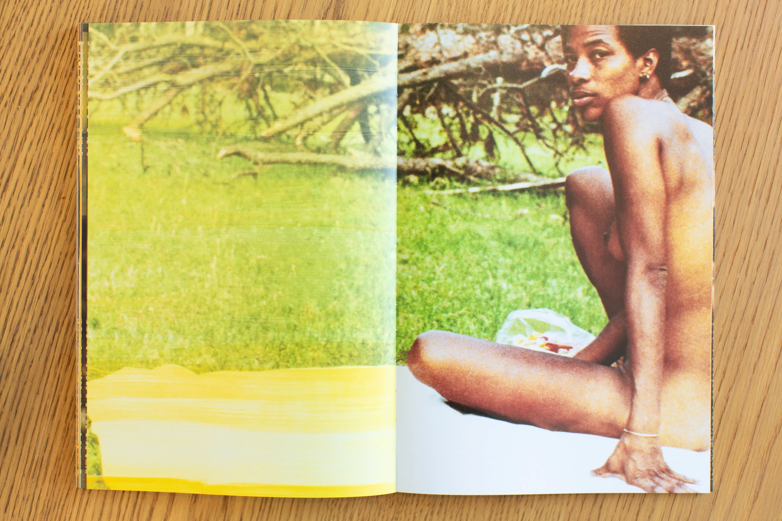 Alanna Fields_Unveiling-Book Interior-4.jpg