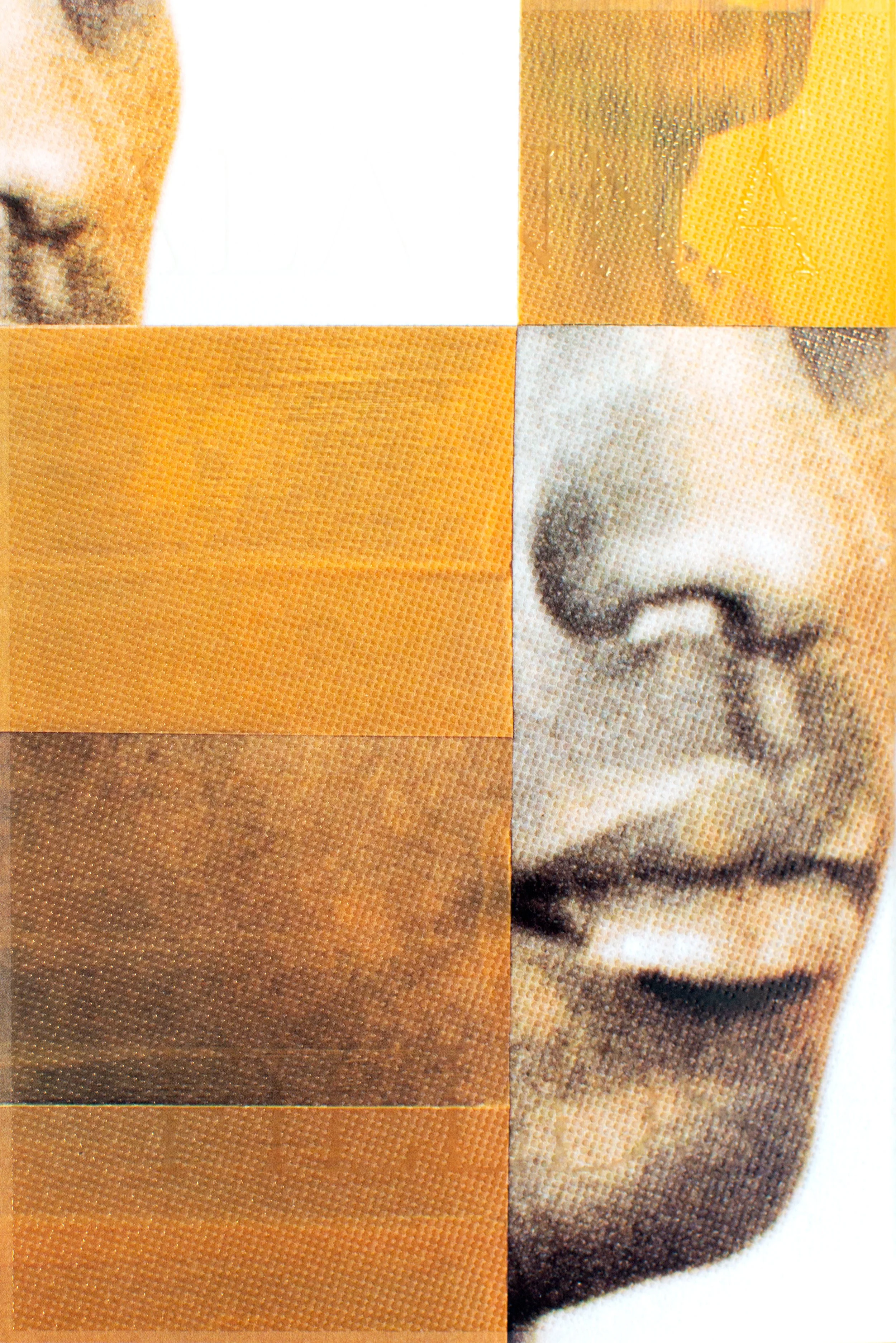 Alanna Fields_Unveiling-Book Back Cover.jpg