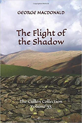 Flight Shadow.jpg