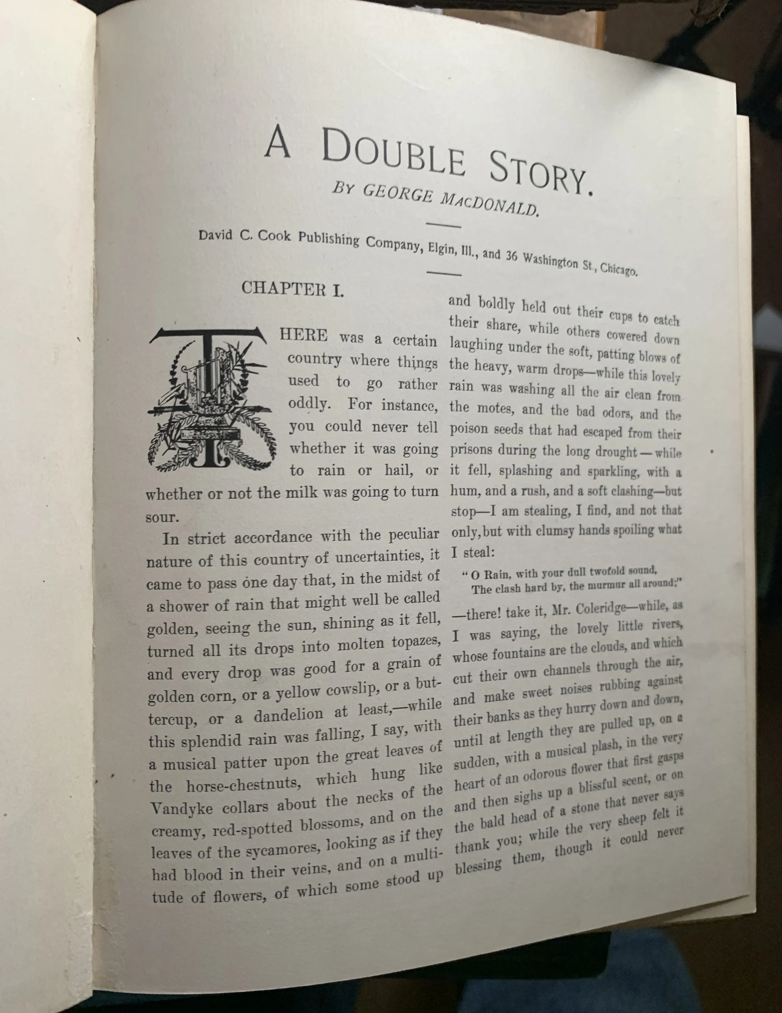 DOUBLE STORY DAVID COOK.jpg