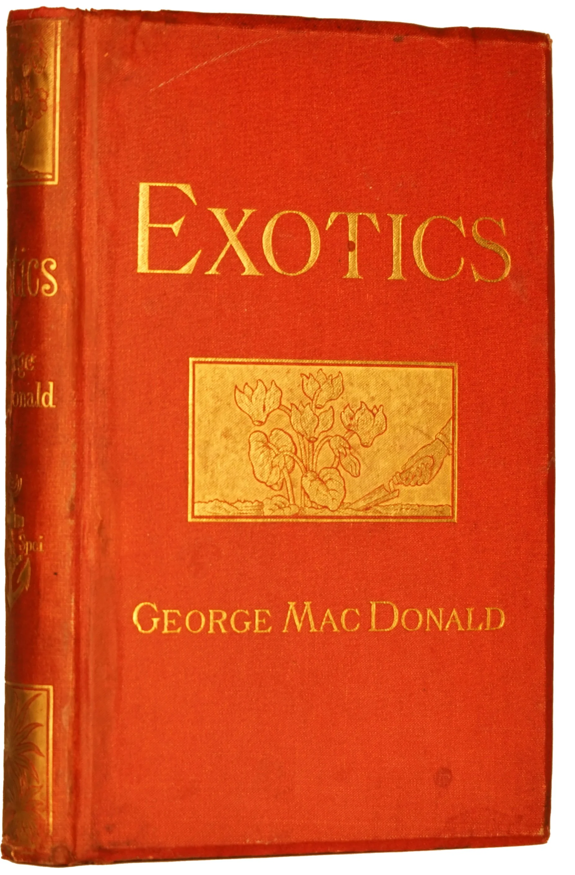 Exotics 1876 First.jpg