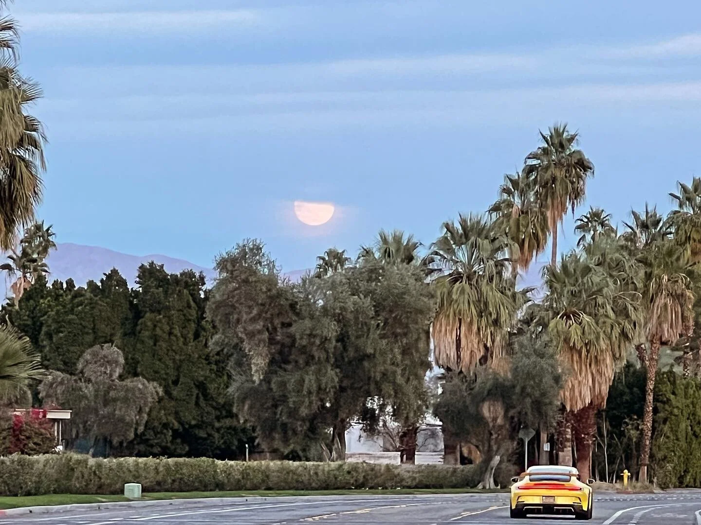 Palm Springs, Classic
#palmsprings #palmspringslife #팜스프링스