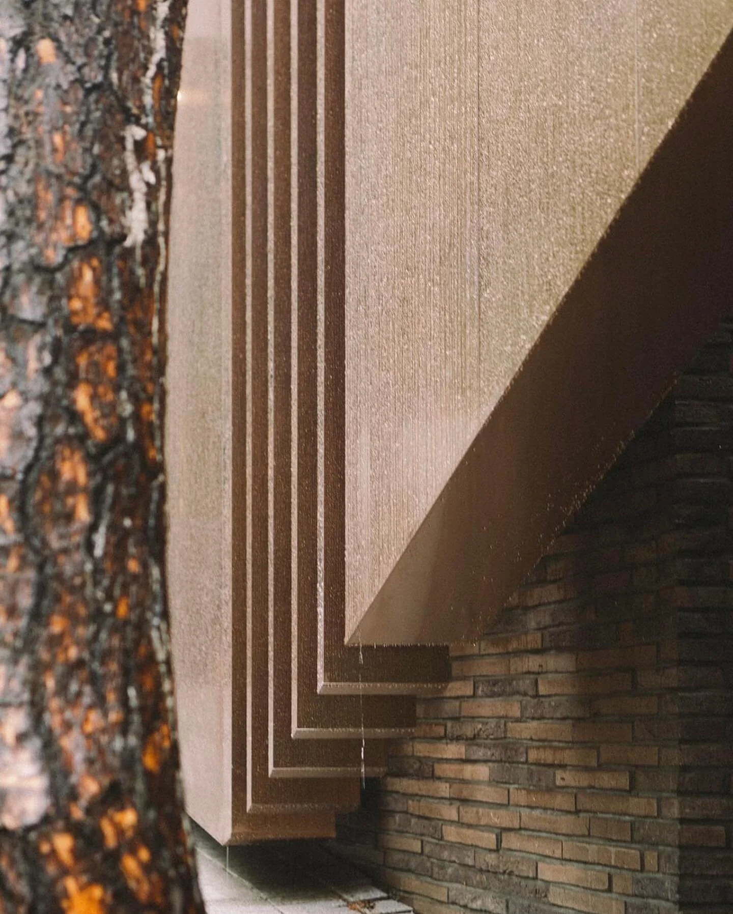 수암재
Coming soon

📷 @_kimsua 

#architecturaldesign #archdetail #facade #buildingdesign #archphotography #건축디자인 #파사드 #건축디테일 #수암재