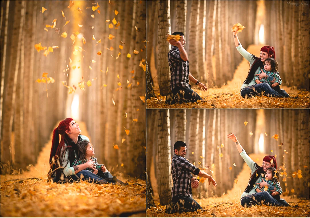 collage2.jpg