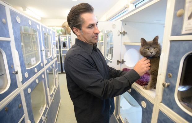 Ted Stevens, Long Beach Animal Care Services Manager